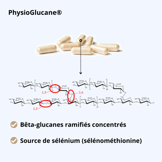 PhysioGlucane une qualité premium de levures et un apport optimal en nutriments